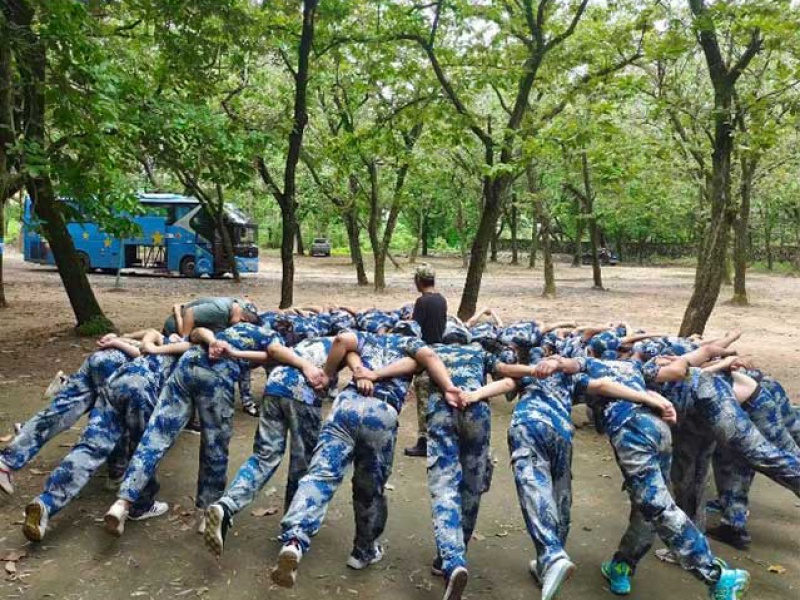 巅峰国际官网-钻营健全,你我一路成长